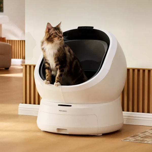 Petlibro Luma vs Other Premium Litter Boxes
