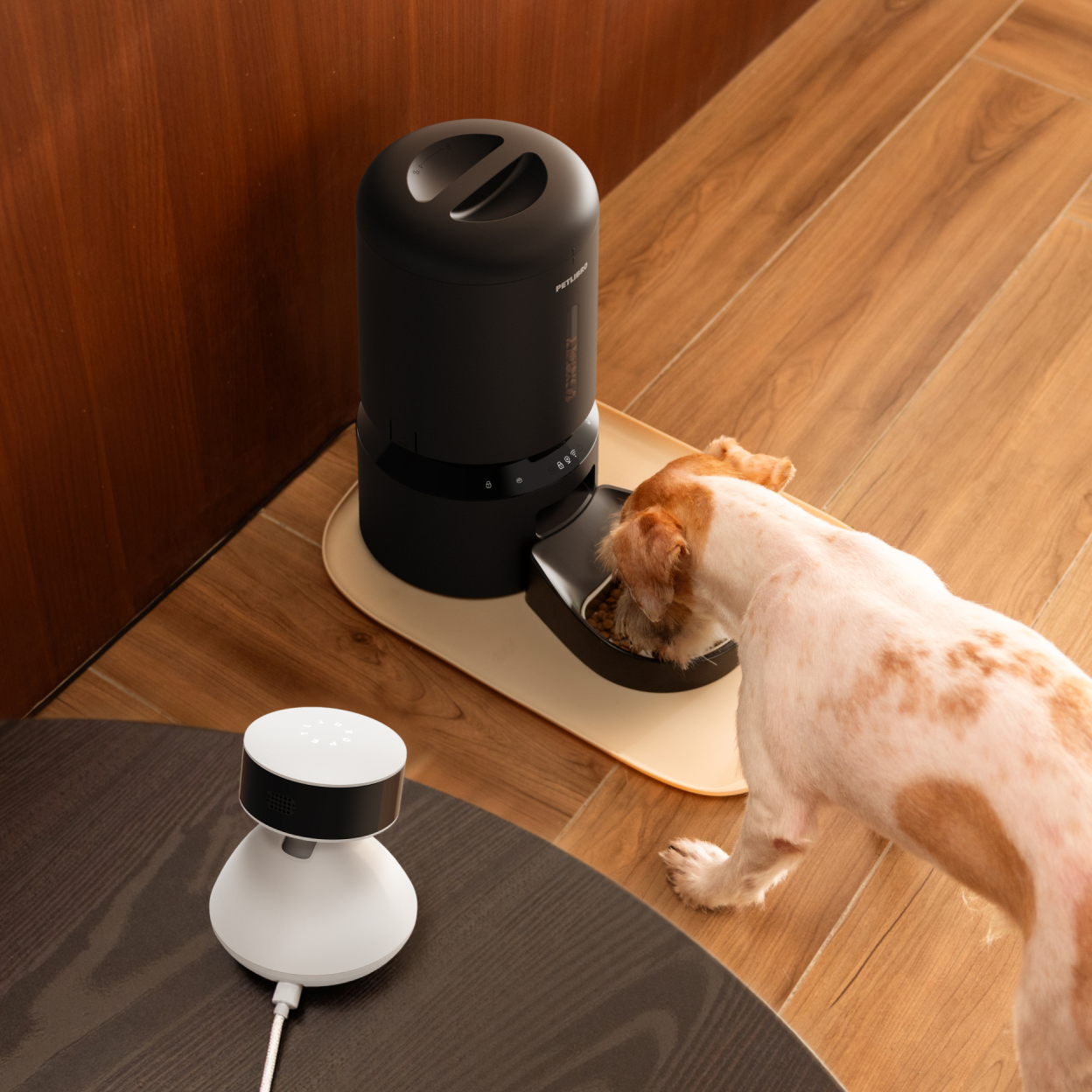 Welcoming a New Addition to Your Pet Family