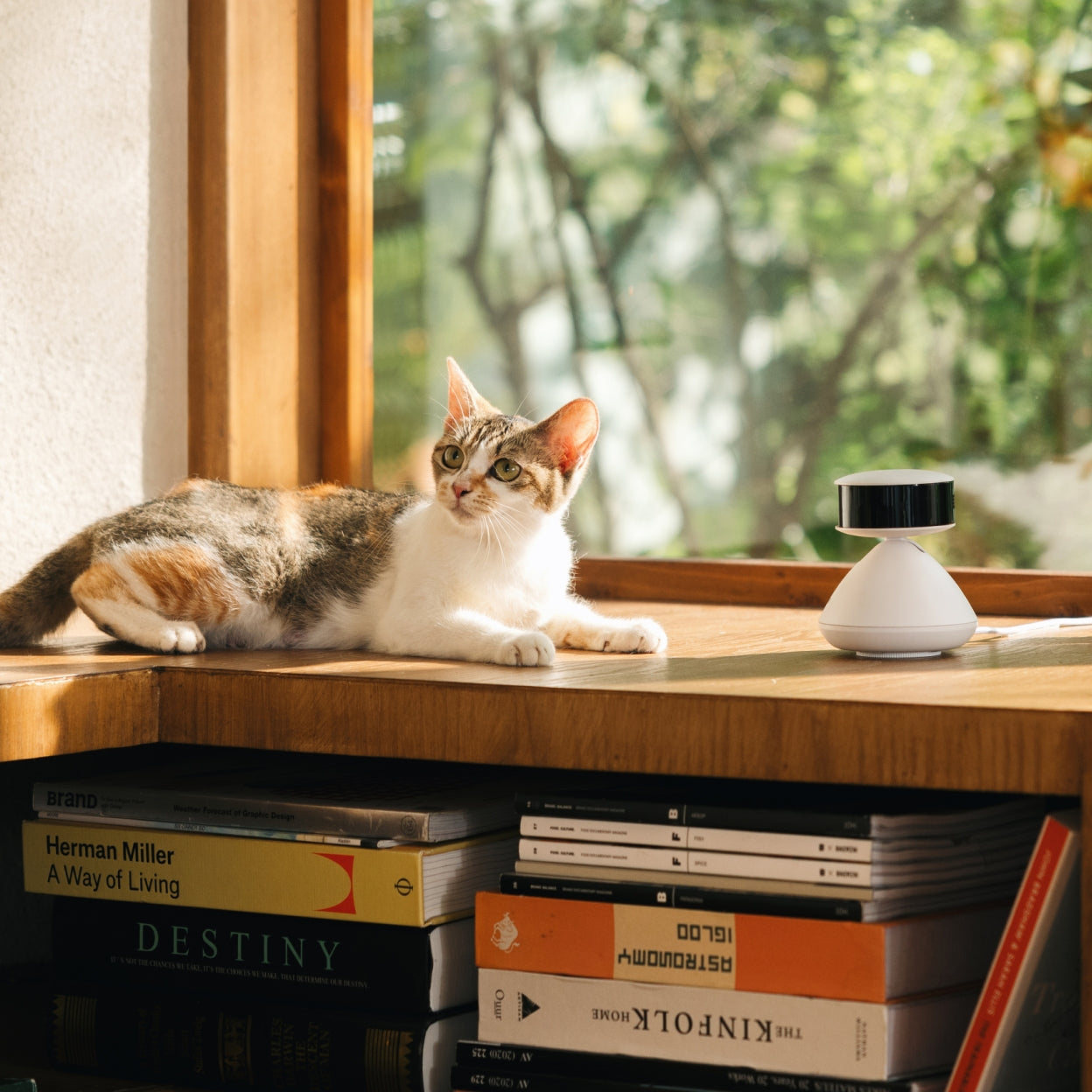 A Smart Pet Camera that’s Full of Surprises