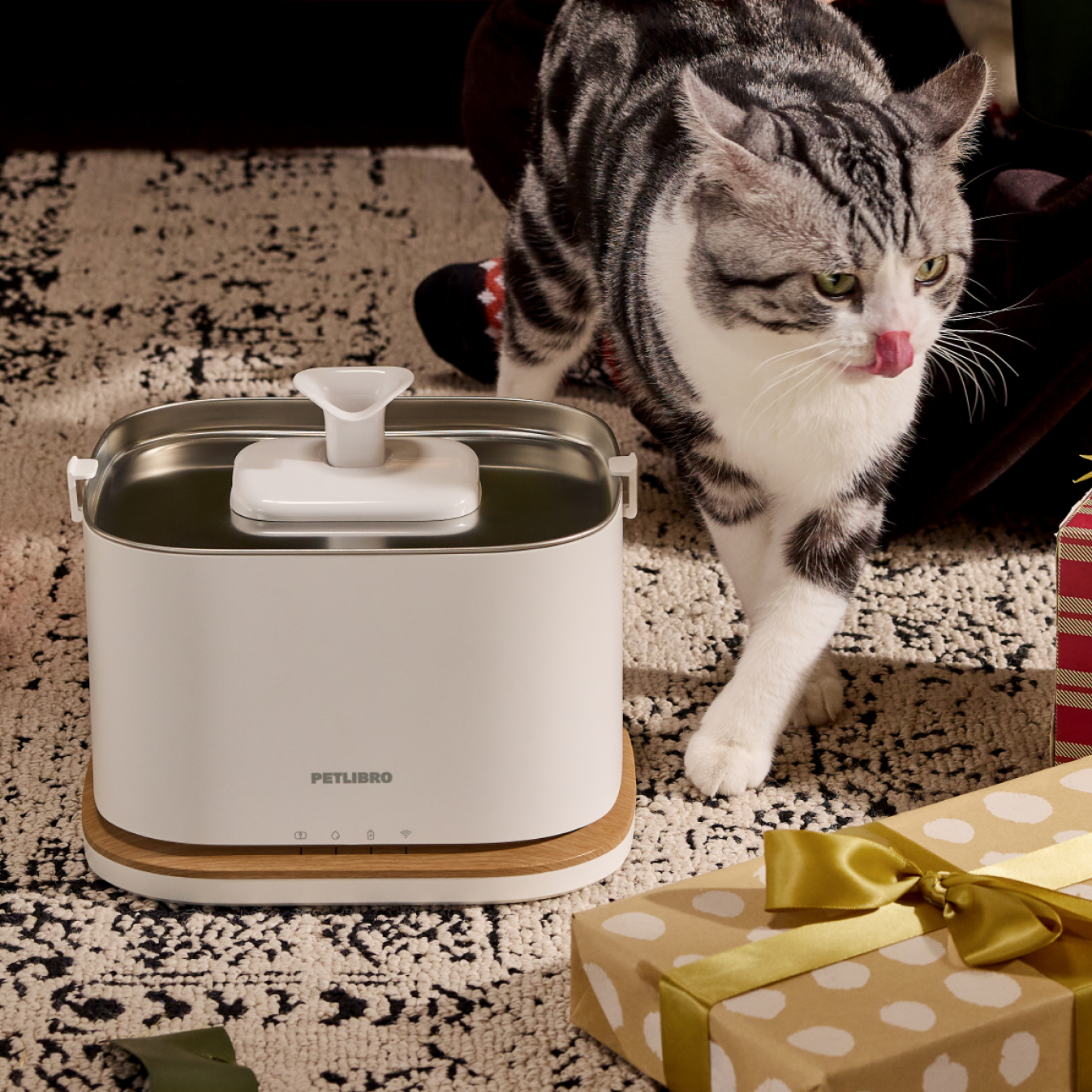 Top Winter Care Tips & Health Advice: Cold Weather Pet Hydration