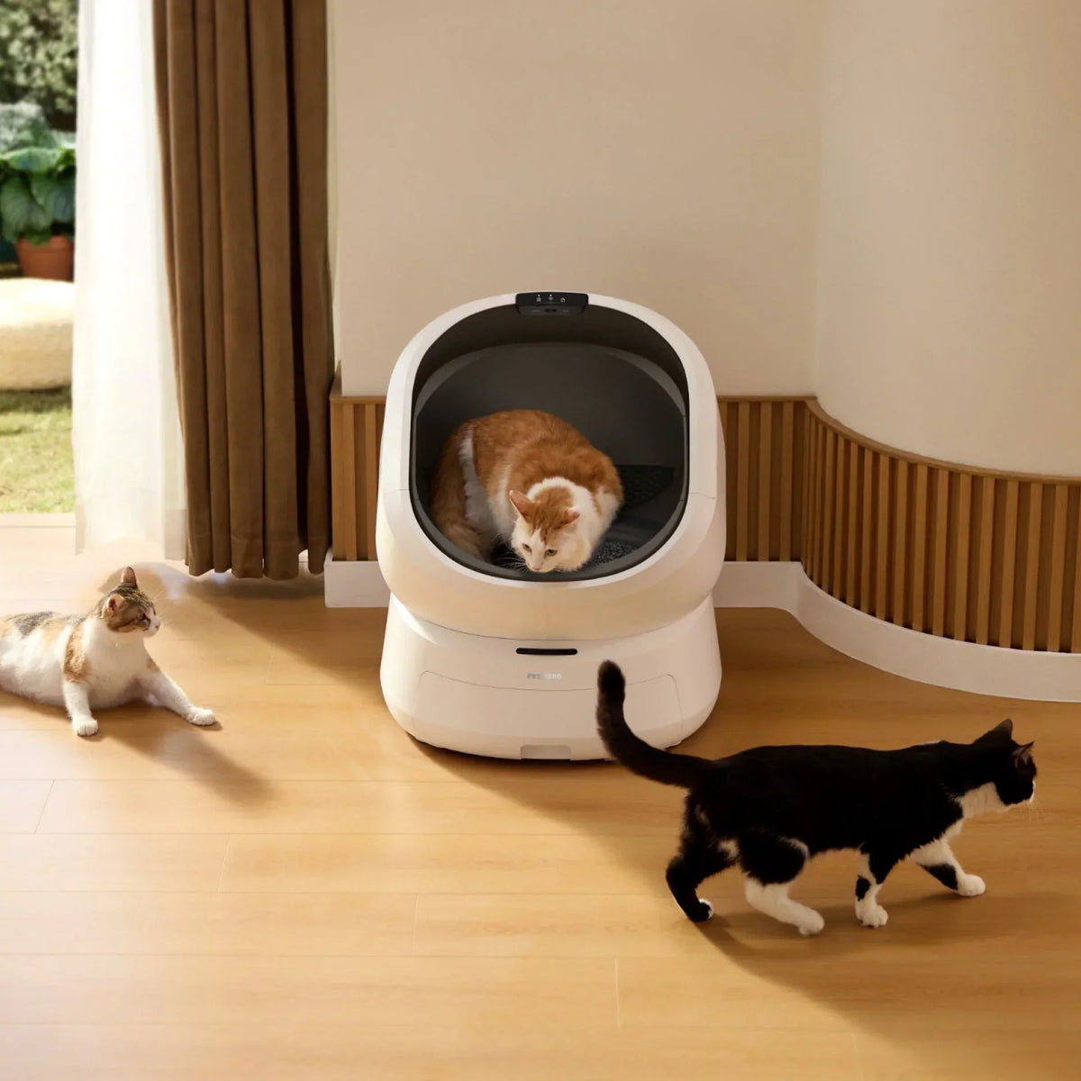 Cat Parents, Here’s Why You Need to Look Before You Scoop