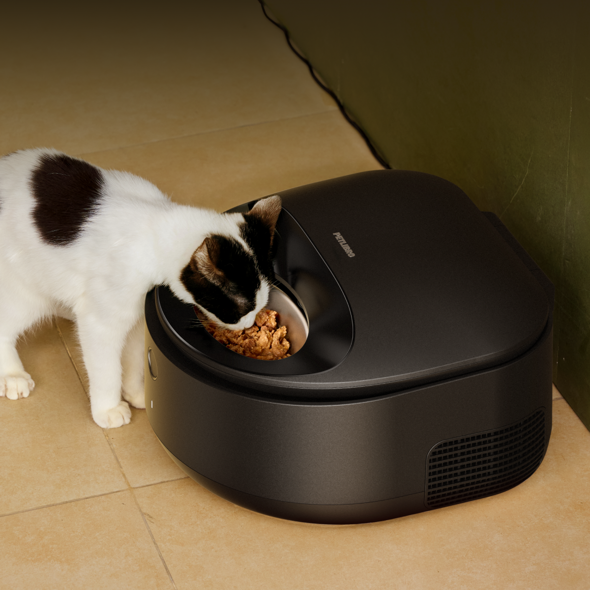 The Benefits of Adding Wet Food to Your Cat's Diet