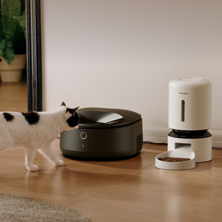 petlibro automatic cat feeder