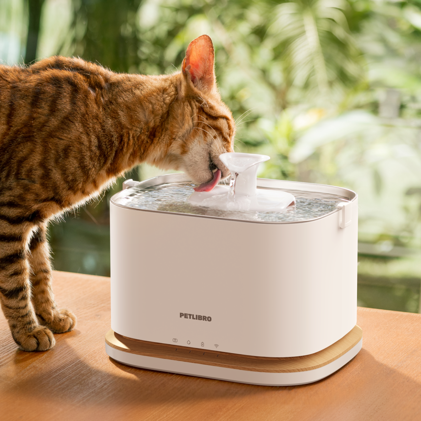 petlibro water fountain filter