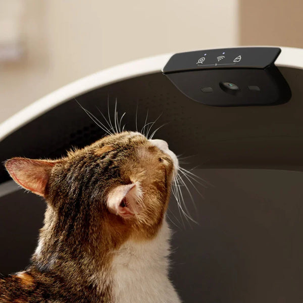 How Does the New Luma Smart Litter Box Stack Up?
