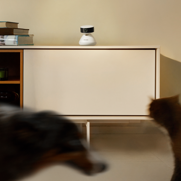 Meet Scout, the Camera that’s as Smart as Your Pets