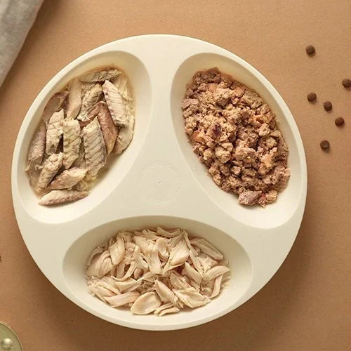 Pet Food 101: Dry vs Wet Food