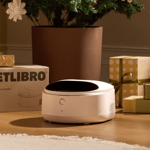 Warm Hearts and Wet Meals: Keeping Your Cat Hydrated This Winter