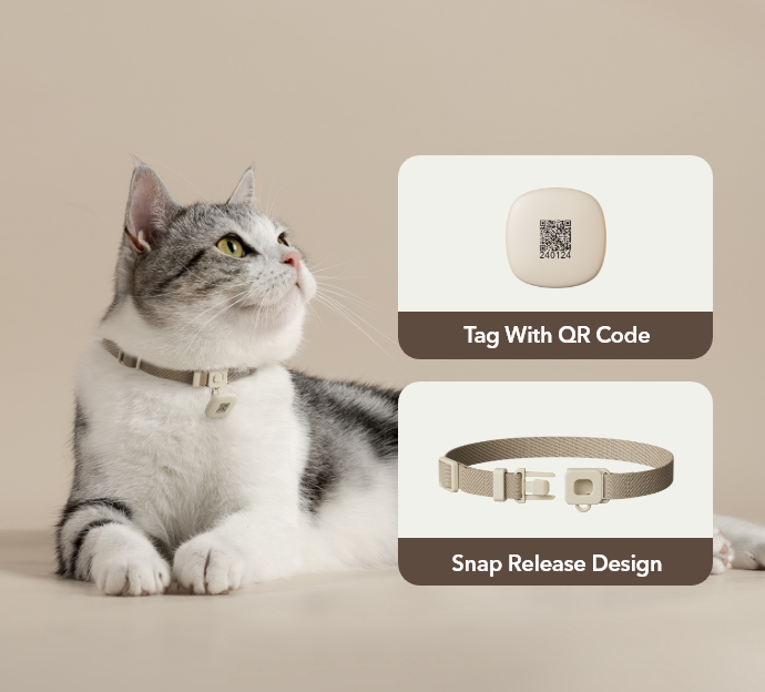 Petlibro PETLIBRO 7772 product