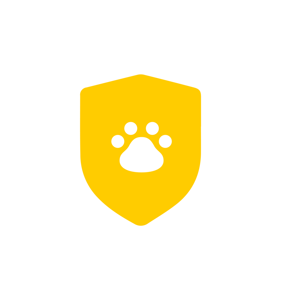 Petlibro Care