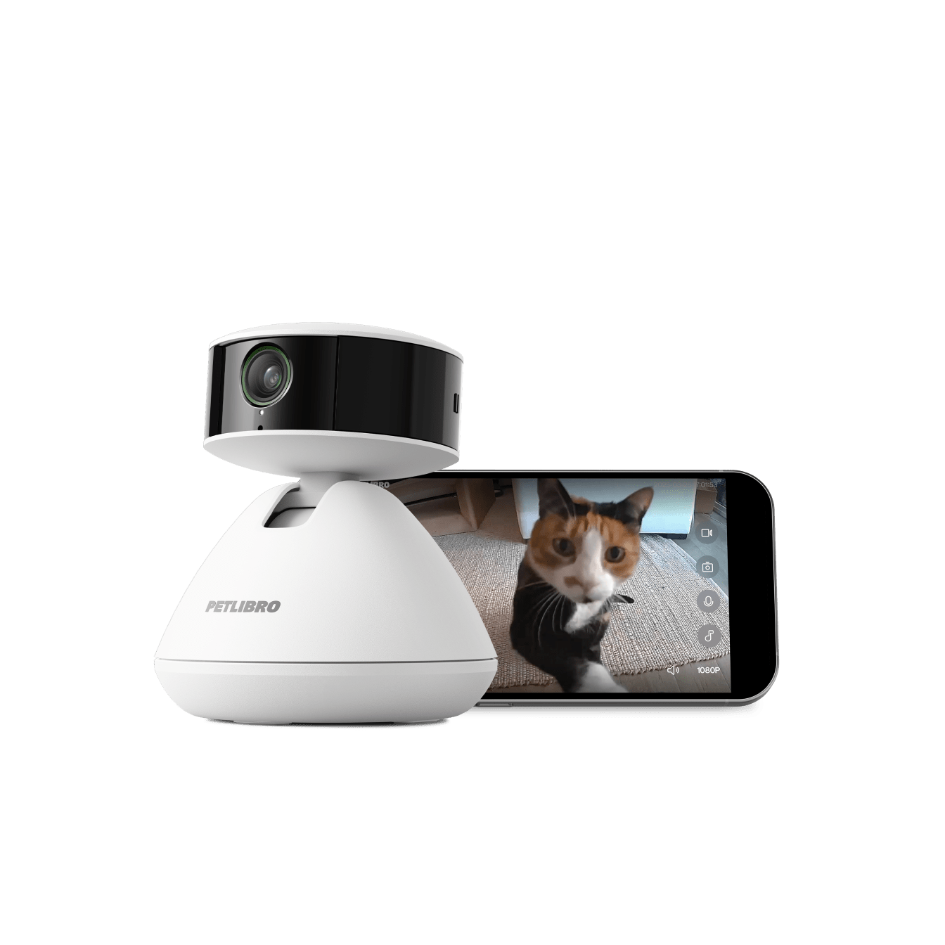 Petlibro white pet camera with black lens and mobile phone showing live video of a cat indoors