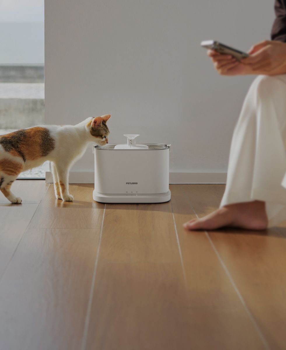 Petlibro white automatic pet water fountain with a cat drinking beside it on wooden floor in a home setting