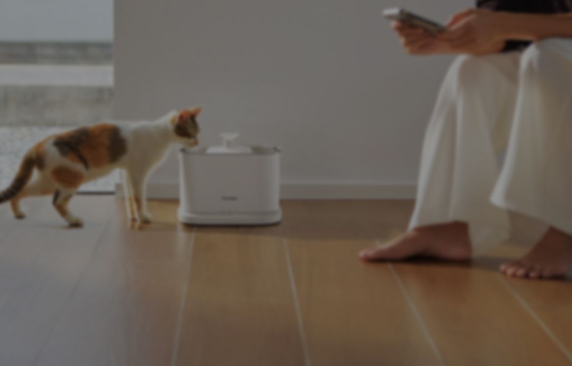Petlibro white automatic pet water fountain with cat drinking on wooden floor in modern home setting