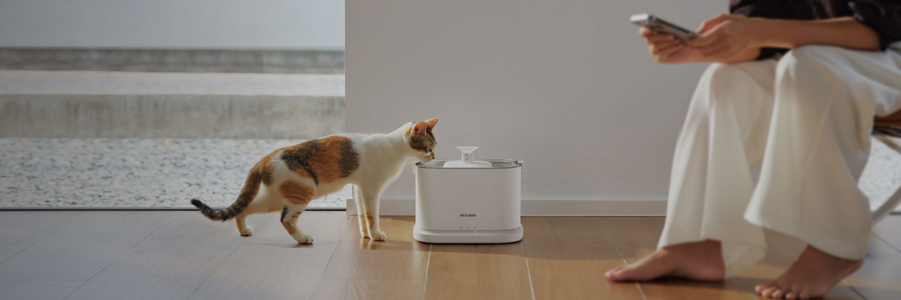 Petlibro white automatic pet water fountain with a cat drinking beside a person sitting on a chair indoors