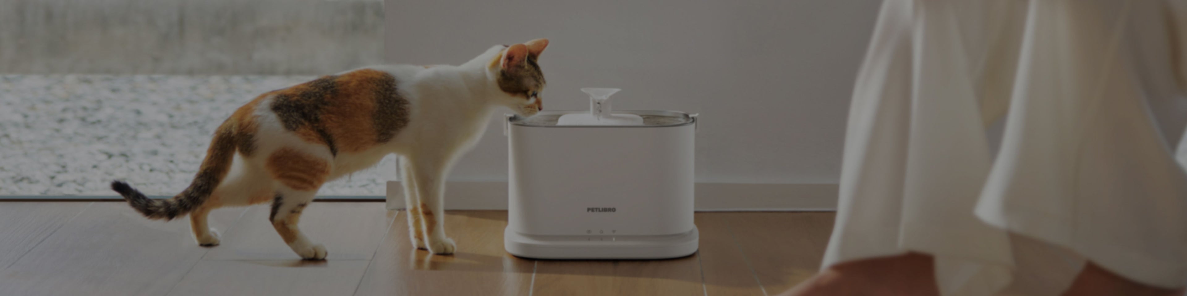 Petlibro white automatic pet water fountain with a cat drinking indoors on wooden floor