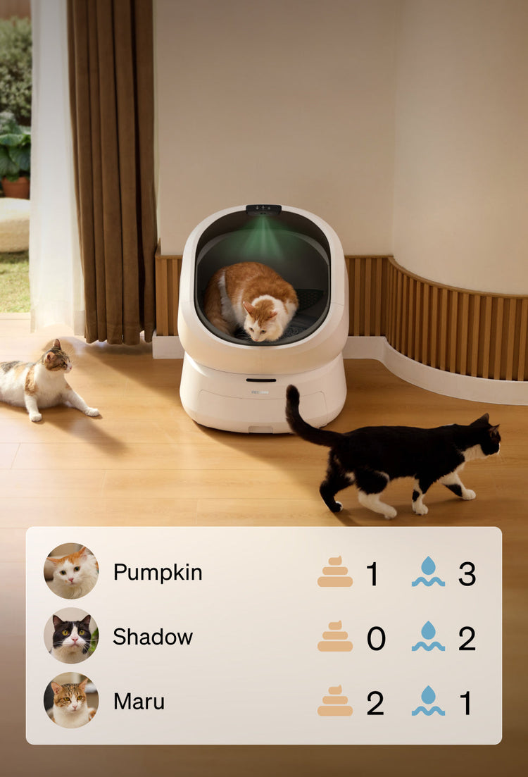 Petlibro PETLIBRO LB001 MOB LP 02 3 daefd245 3535 4366 a4d4 733f72890ef4 product