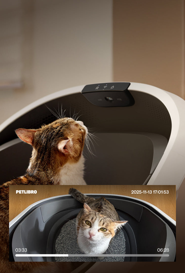 Petlibro PETLIBRO LB001 MOB LP 02 5 00fac8f1 0c76 4c0d 9dfc b42af54d48dc product