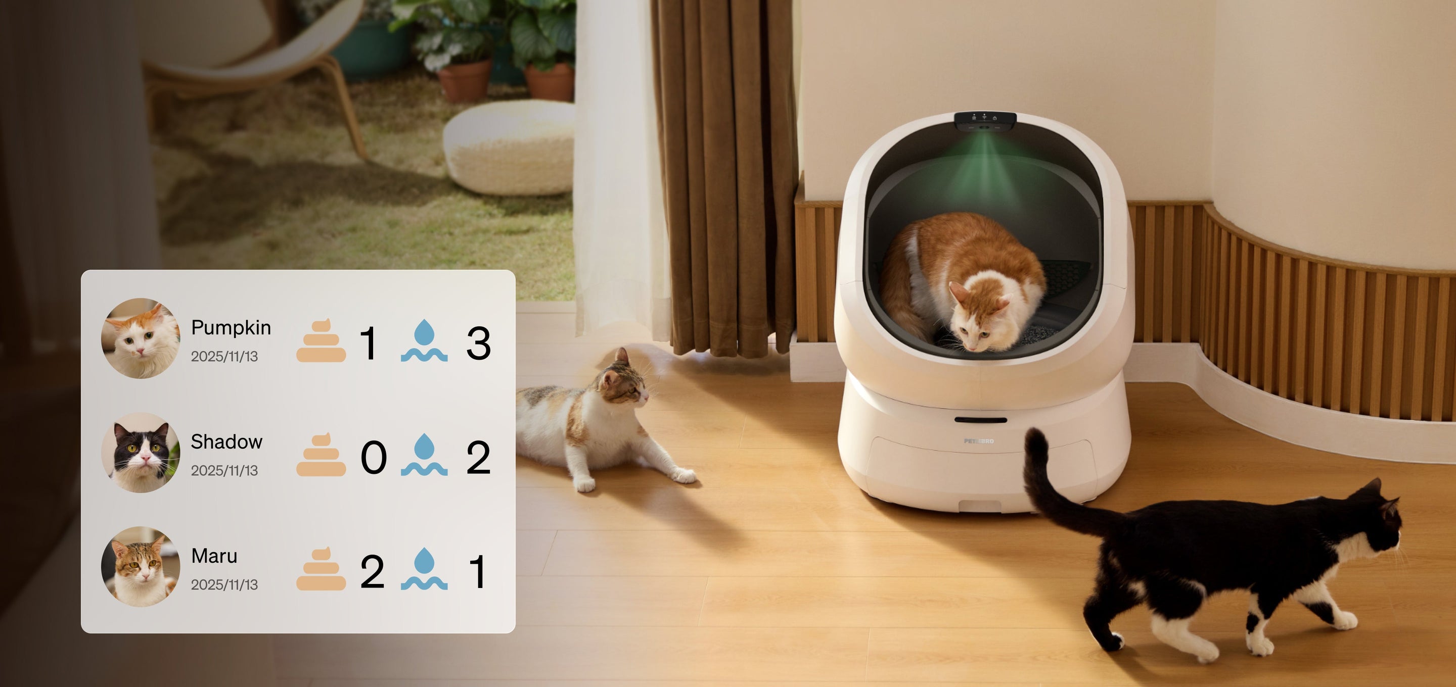 Petlibro PETLIBRO LB001 PC LP 02 3 3ec74982 e17b 4596 93b2 47336825323d product