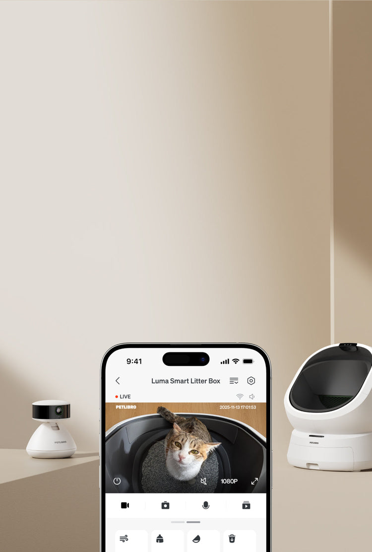 Petlibro PETLIBRO LB001 Saas Mob LP 01 fb9ca0ab add9 4523 baa1 8887c022de13 product