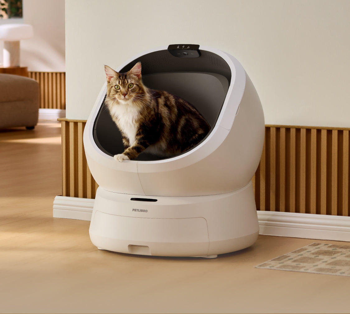 Petlibro PETLIBRO LB001 Saas Mob LP 06 1e112570 bc89 451f 9de0 5df2c8376e8d product