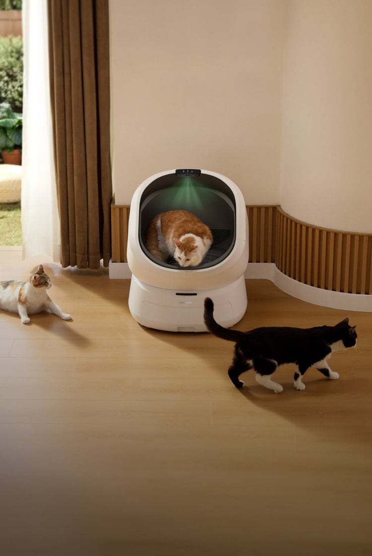 Petlibro PETLIBRO LB001 Website MOB subpage 01 product
