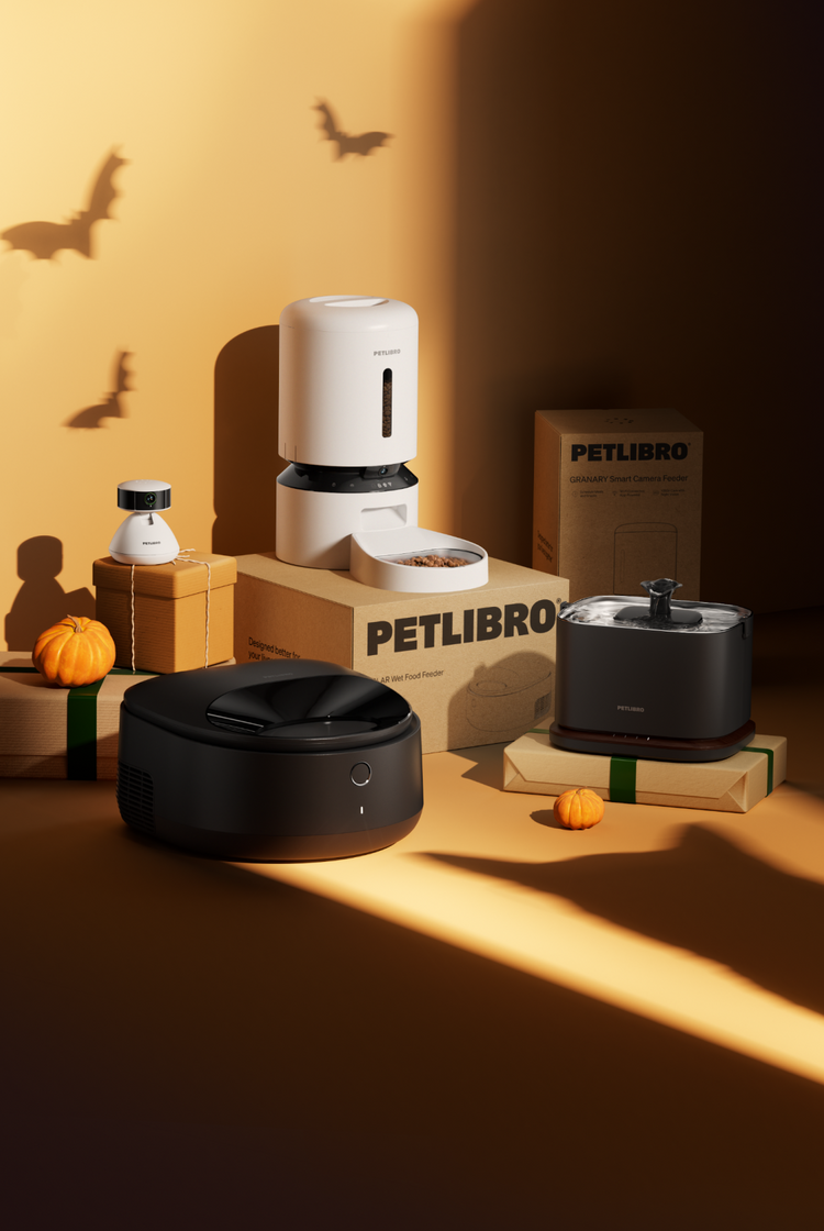 Petlibro PETLIBRO pet cat feeder, fountain and litter box set on boxes with pumpkins, warm orange backdrop and bat shadows