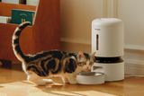 Petlibro PETLIBRO white pet cat feeder with bowl; tabby cat beside it, fountain and litter box mentioned for home care
