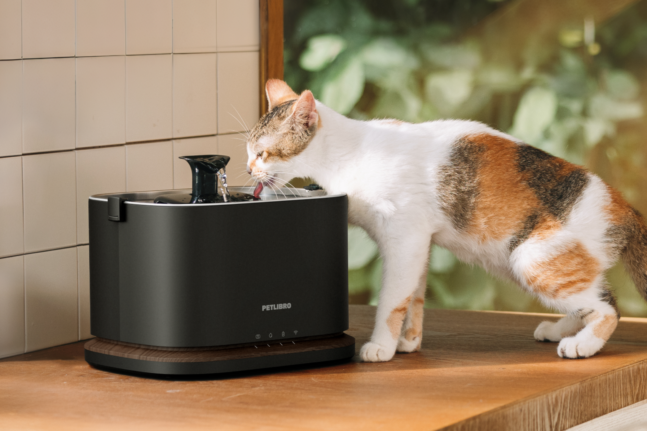Petlibro PETLIBRO pet cat drinking from black feeder fountain; litter box not shown, indoor countertop by window