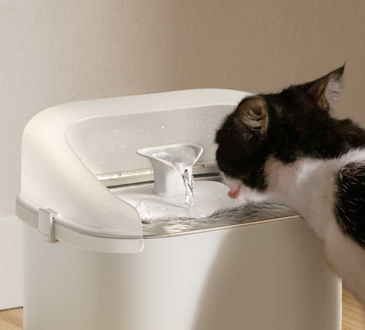 Petlibro PETLIBRO pet cat drinking from white feeder fountain beside a white litter box, indoor close-up with flowing water spout