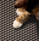 Petlibro PETLIBRO cat pet paws on black honeycomb mat for fountain, litter box area, automatic feeder setup protection