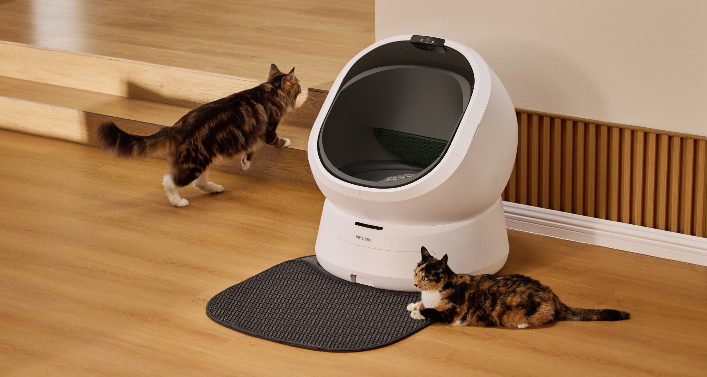 Petlibro PETLIBRO cat pet by white litter box; automatic feeder and fountain keywords, home scene with two cats on mat