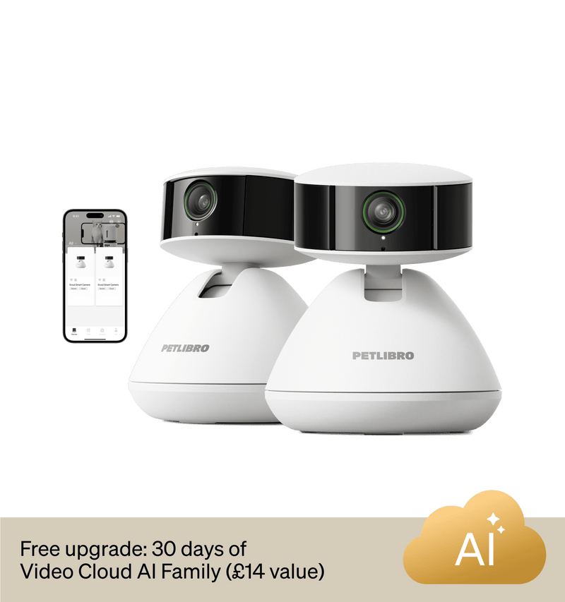 Petlibro PETLIBRO pet camera for cat monitoring, shown with app; mentions fountain, litter box, automatic feeder integration