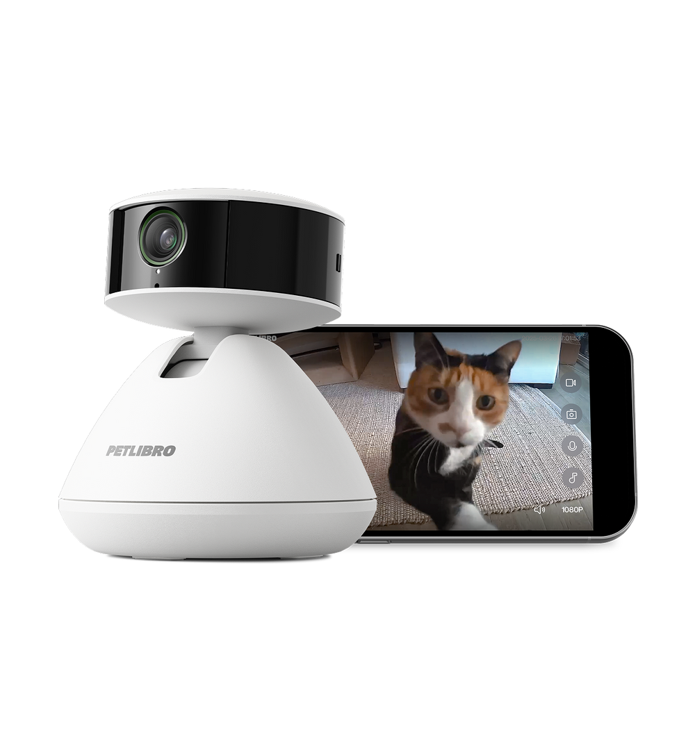 Example: Scout Smart Camera Pet