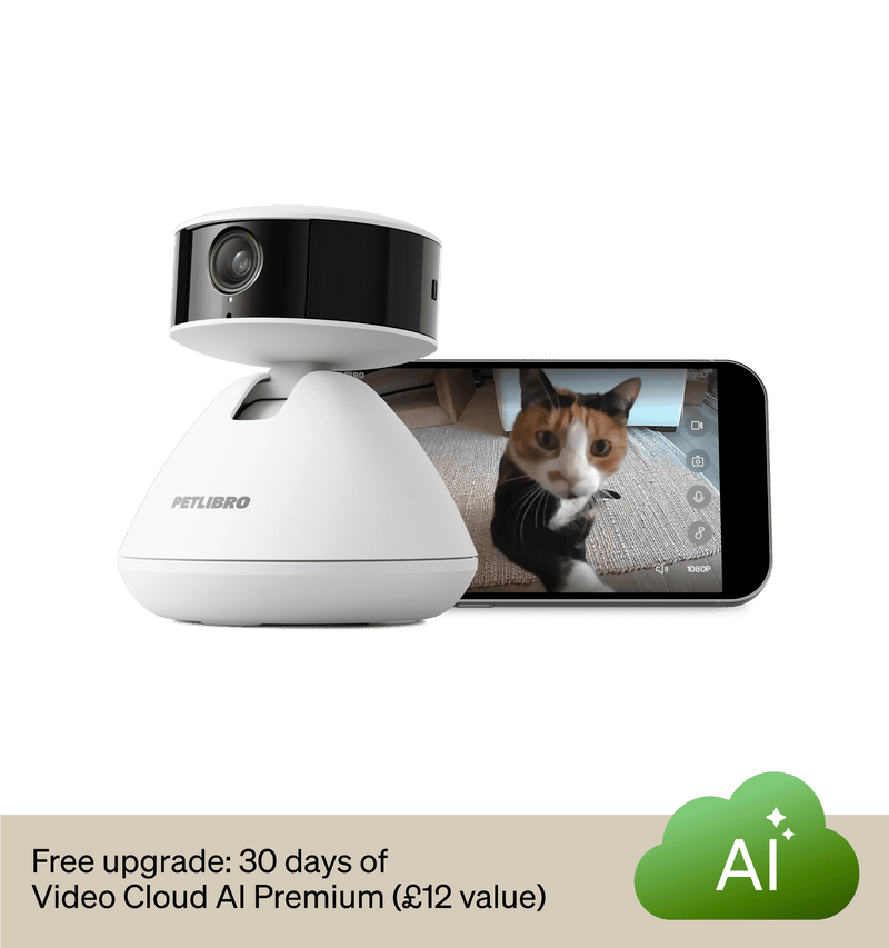 Petlibro PETLIBRO pet camera shows a cat on phone screen; mentions fountain, litter box, automatic feeder in promo banner