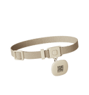 RFID Collar Tag