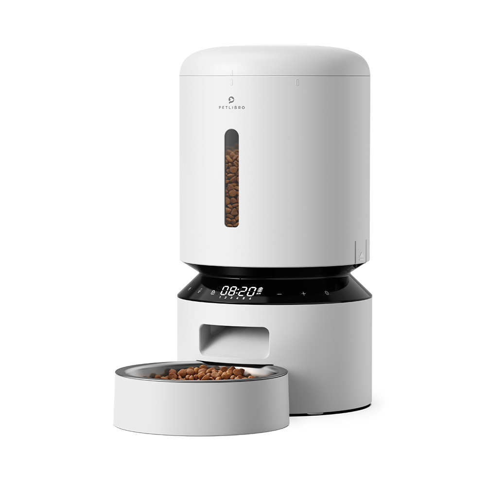 Gempet automatic pet deals feeder