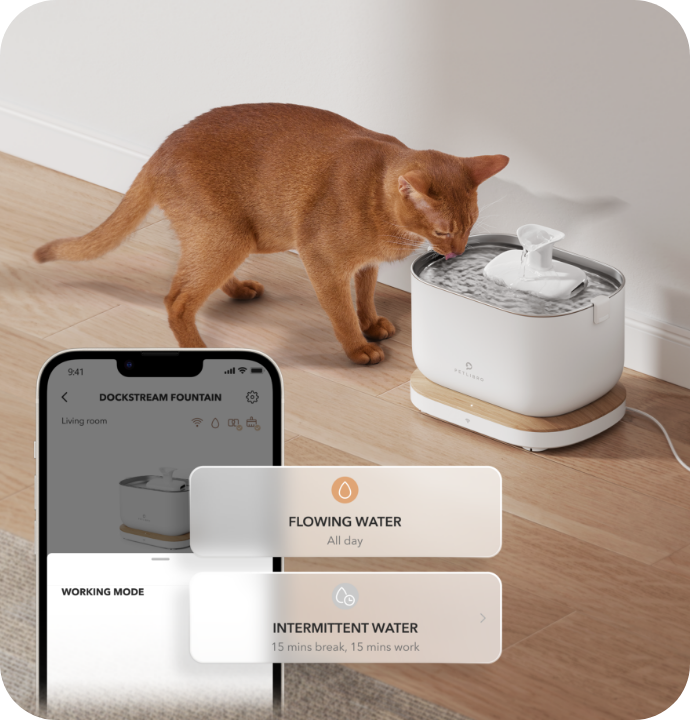 Fonte de água Cat PETLIBRO Dockstream 2,5 L com monitoramento de aplicativos - Comedouro e Fonte de água Cat PETLIBRO Dockstream 2,5 L com monitoramento de aplicativos - Comedouro e