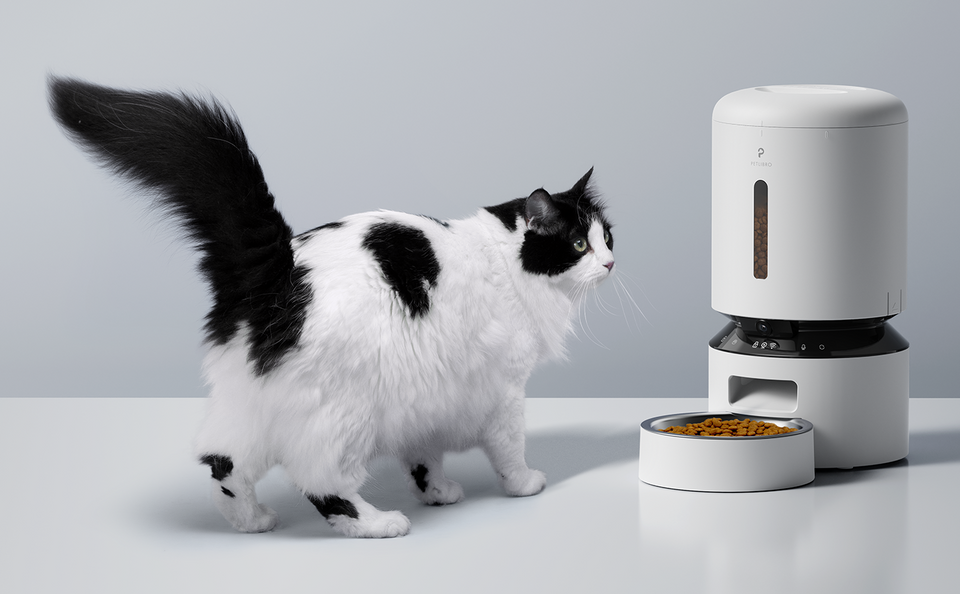PETLIBRO Granary Automatic Smart Pet Feeder With Camera PETLIBRO UK