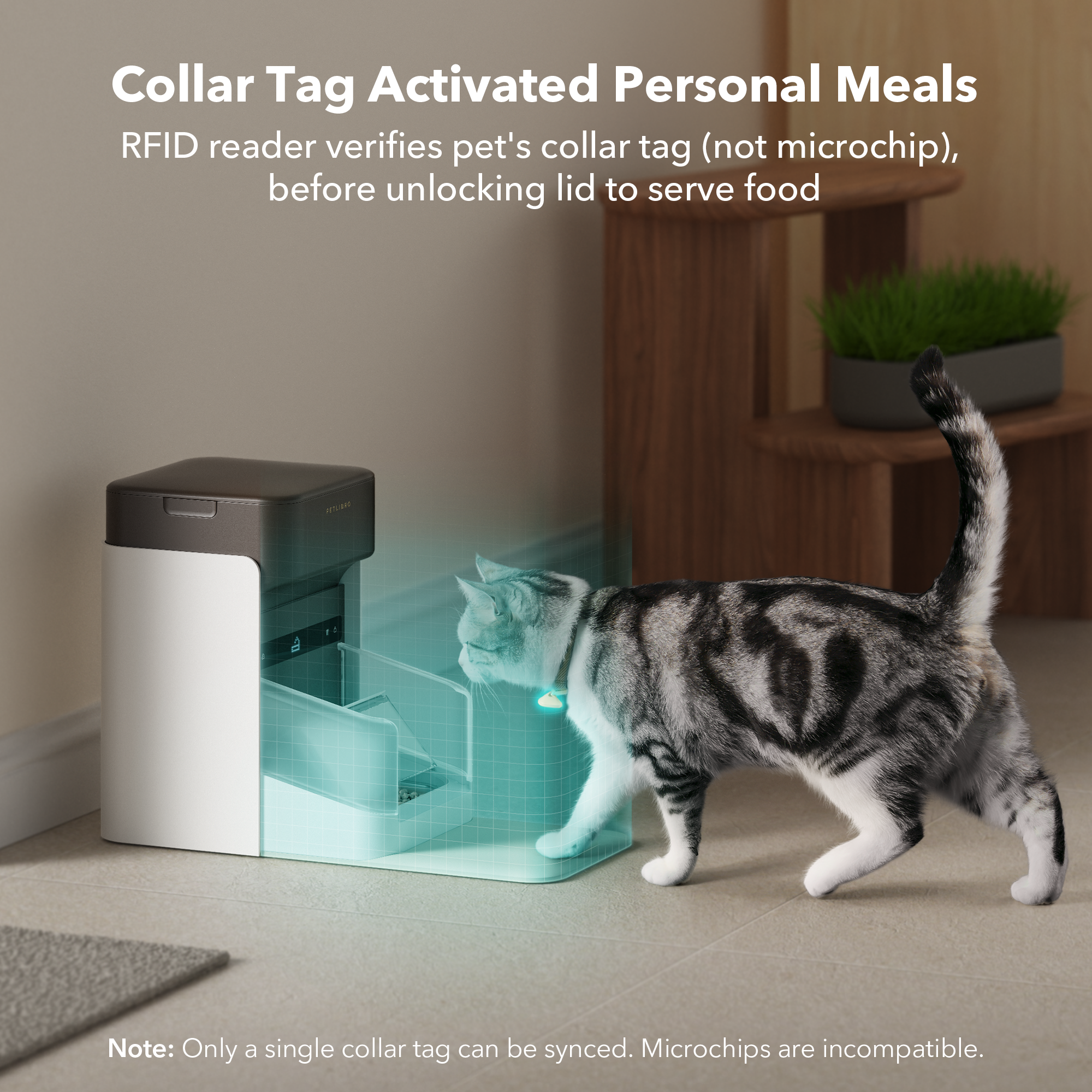 Petlibro automatic pet feeder with RFID collar tag verification for personalized meal access, shown with a cat in a home setting