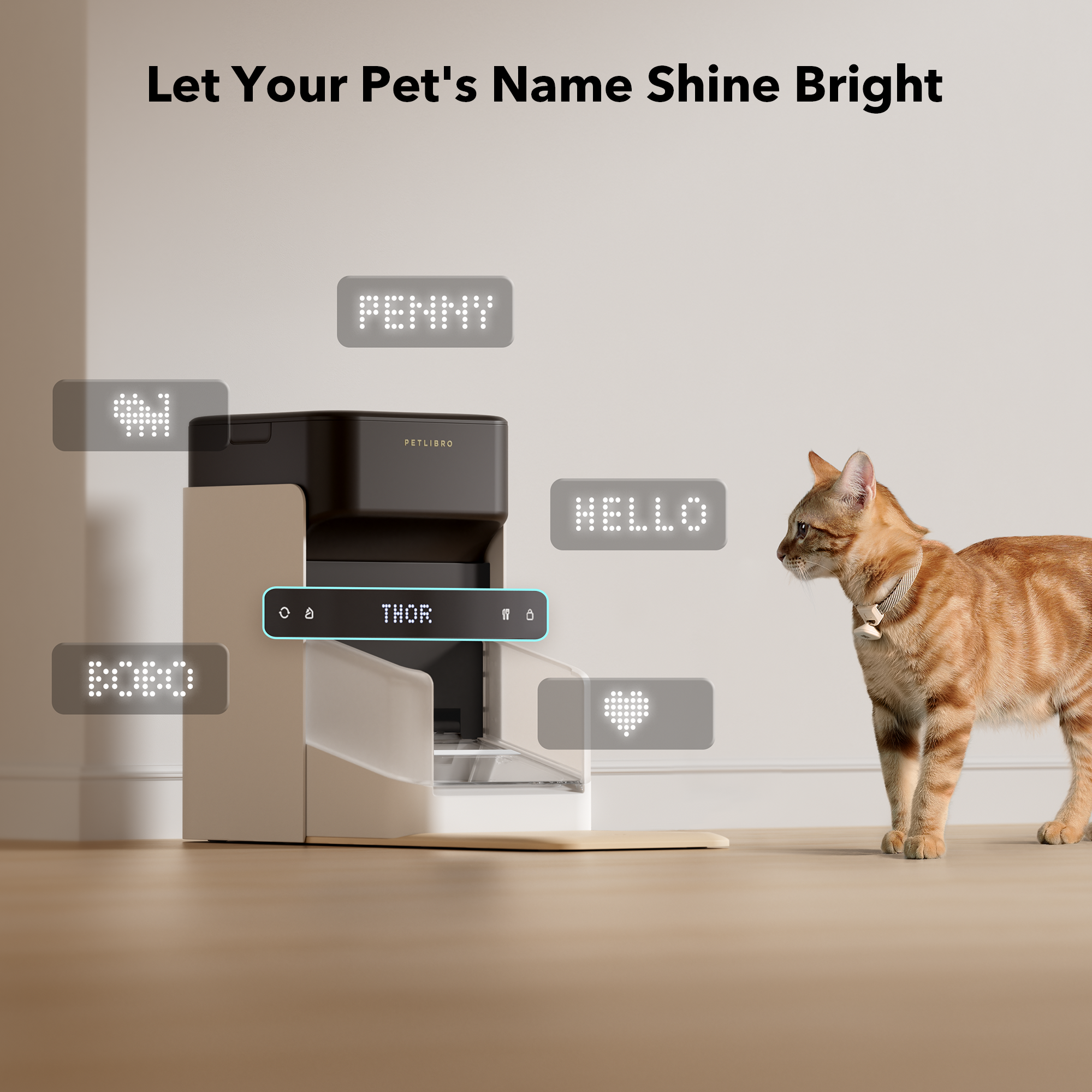 Petlibro automatic pet feeder in beige and black with customizable LED name display and a cat nearby