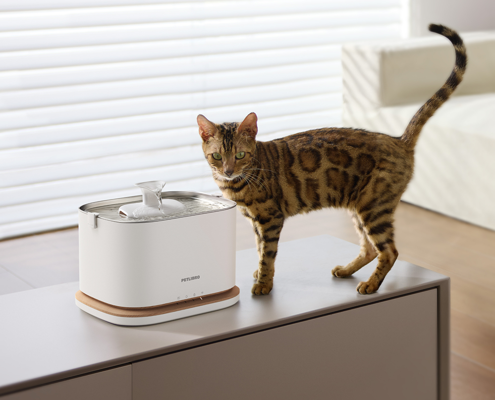 Petlibro PETLIBRO chat animal de compagnie près d’une fontaine à eau blanche; mention distributeur automatique de nourriture et bac à litière