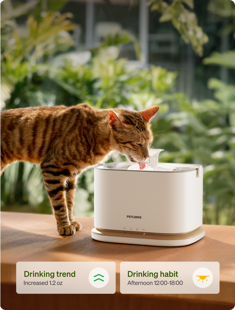 Petlibro PETLIBRO chat buvant à une fontaine à eau blanche pour animal de compagnie; mention distributeur automatique de nourriture et bac à litière