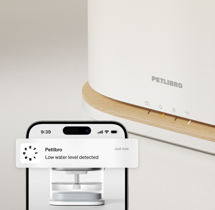 Petlibro PETLIBRO fontaine à eau connectée blanche pour animal de compagnie, alerte niveau bas sur smartphone, chat
