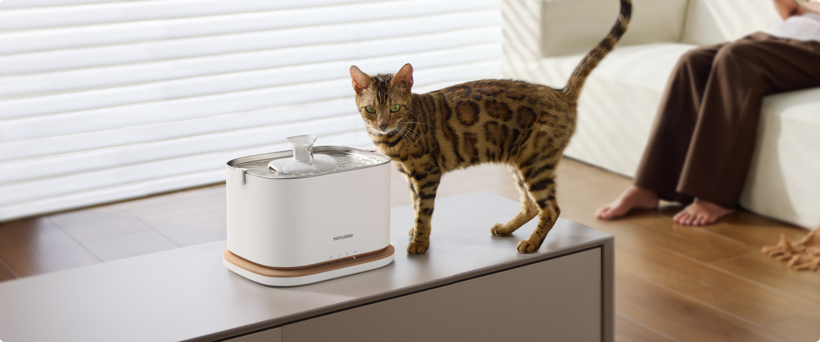 Petlibro PETLIBRO fontaine à eau blanche pour animal de compagnie; chat tacheté à côté, salon lumineux, bac à litière et distributeur automatique de nourriture évoqués