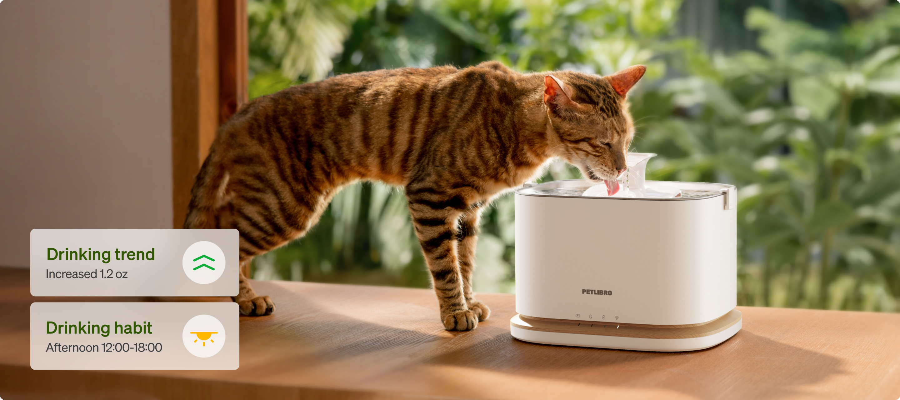 Petlibro PETLIBRO chat buvant à une fontaine à eau; animal de compagnie, distributeur automatique de nourriture et bac à litière assortis