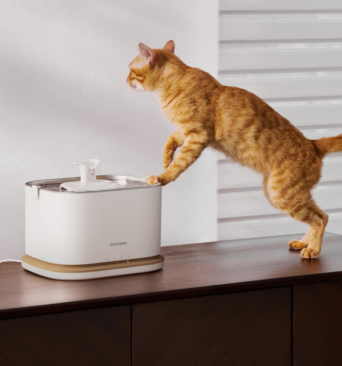 Petlibro PETLIBRO animal de compagnie chat buvant à une fontaine à eau blanche; mention distributeur automatique de nourriture et bac à litière