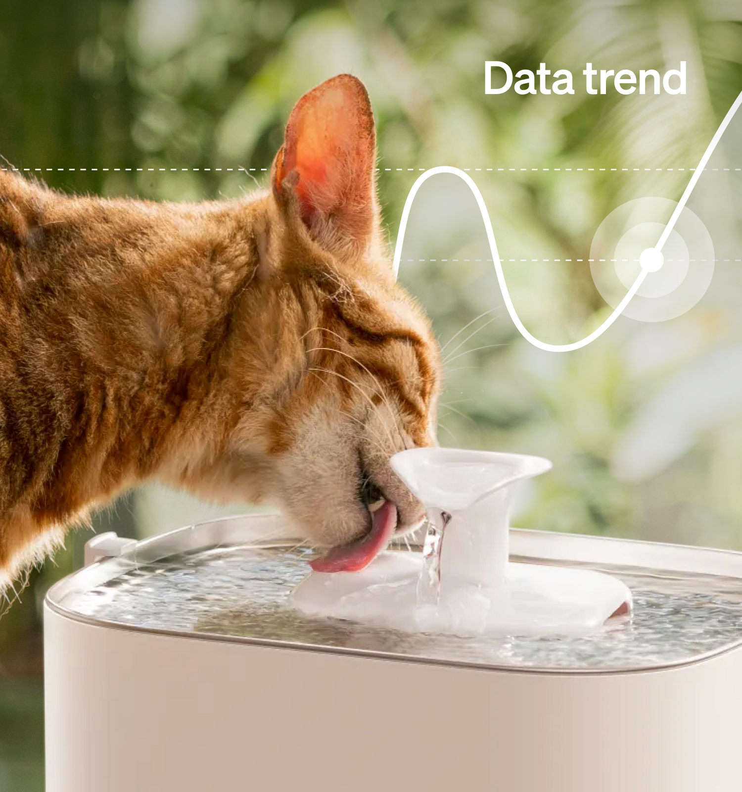 Petlibro automatic pet water fountain in white with flowing water, shown with a cat drinking outdoors