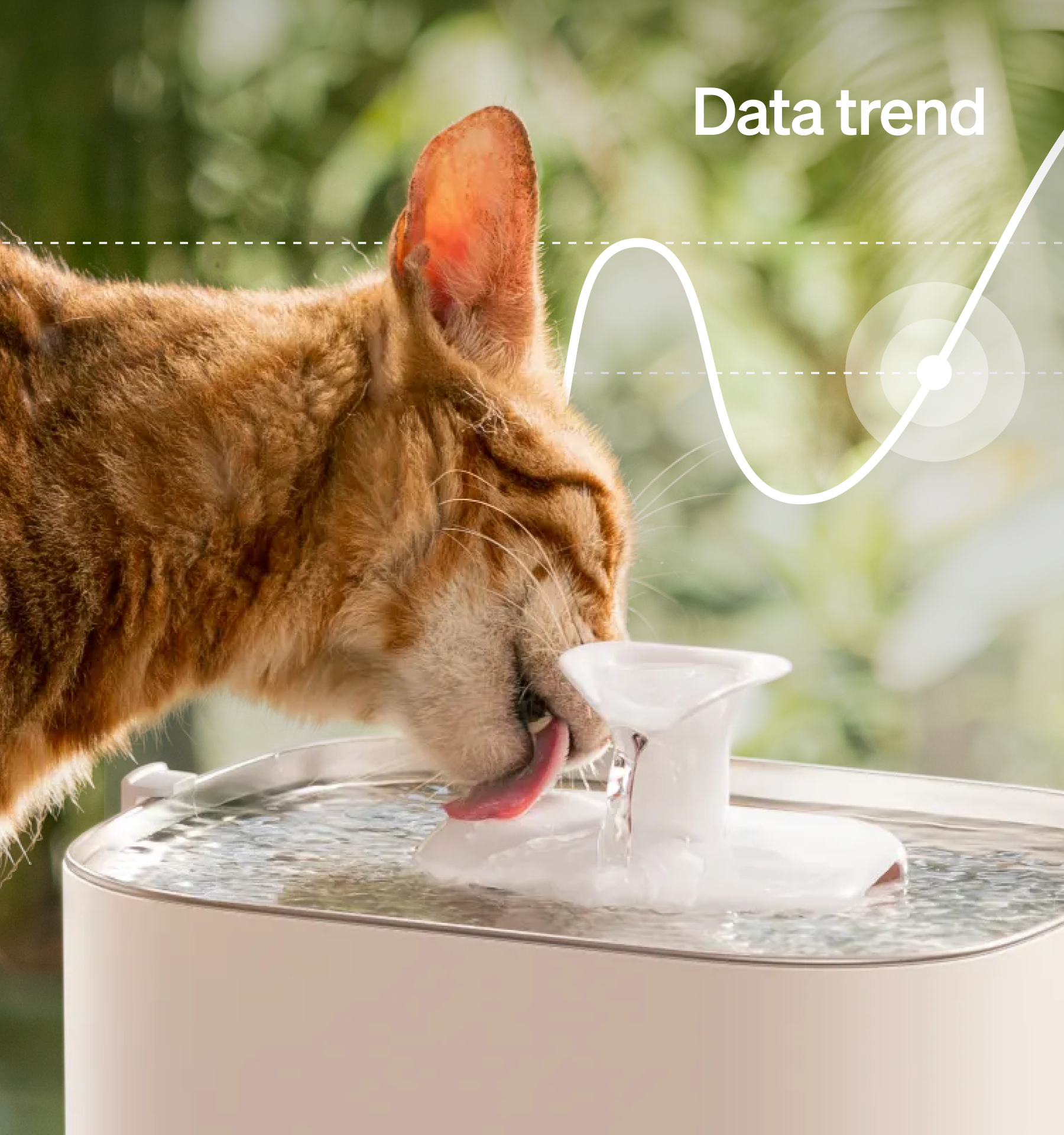 Petlibro automatic pet water fountain in white with flowing water, shown with a cat drinking outdoors