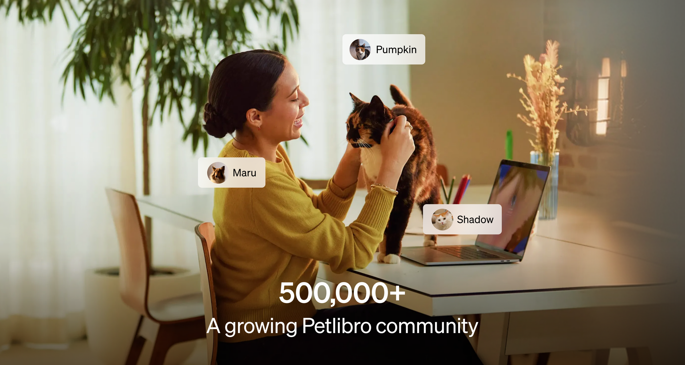 Petlibro lifestyle scene showing a woman petting a calico cat on a desk with a laptop in a bright home office environment