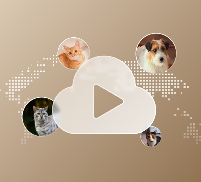 Petlibro digital cloud storage icon with play button surrounded by circular pet photos on beige background
